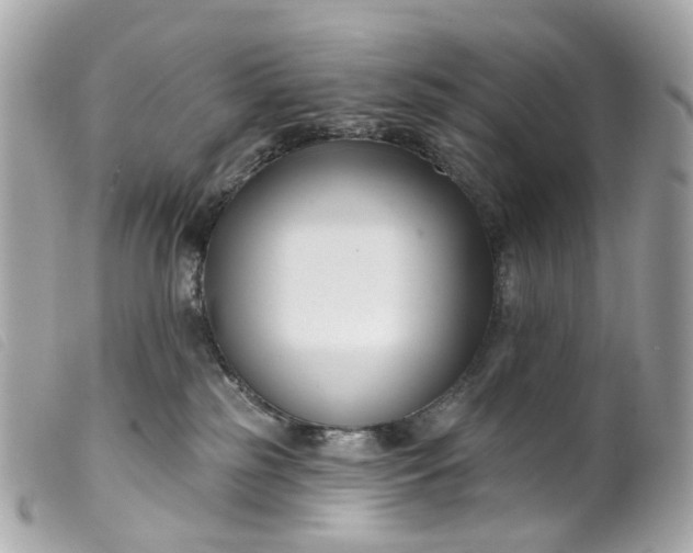 X0000099540185200805301508