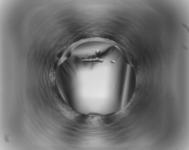 X0000099540186200805301508