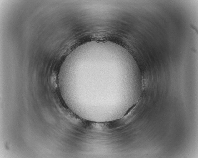 X0000099540187200805301508