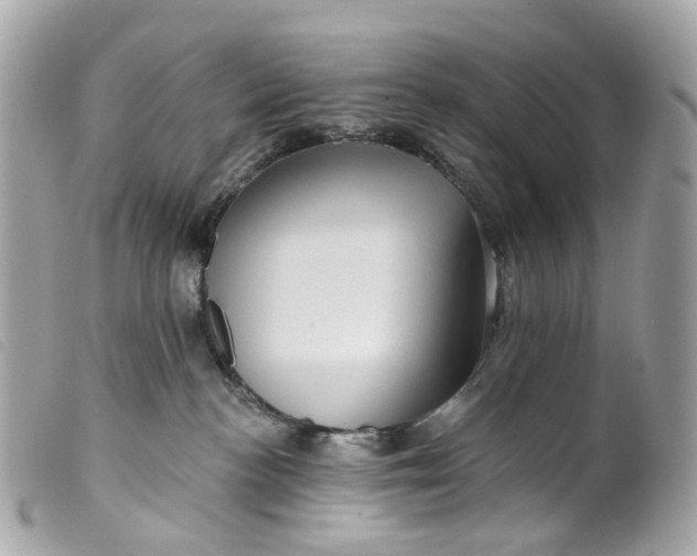 X0000099540188200805301508