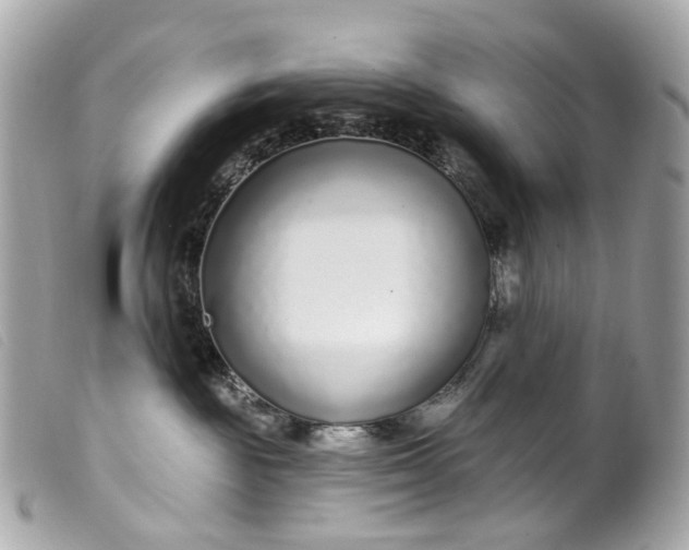 X0000099540189200805301508