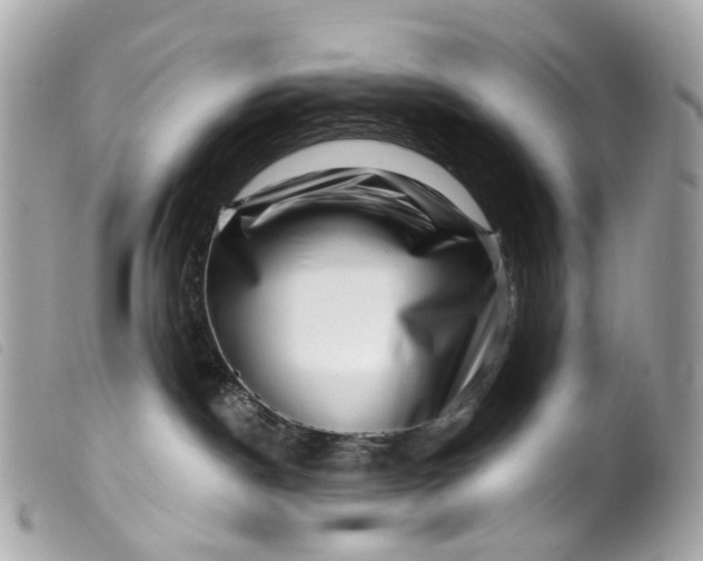 X0000099540190200805301508