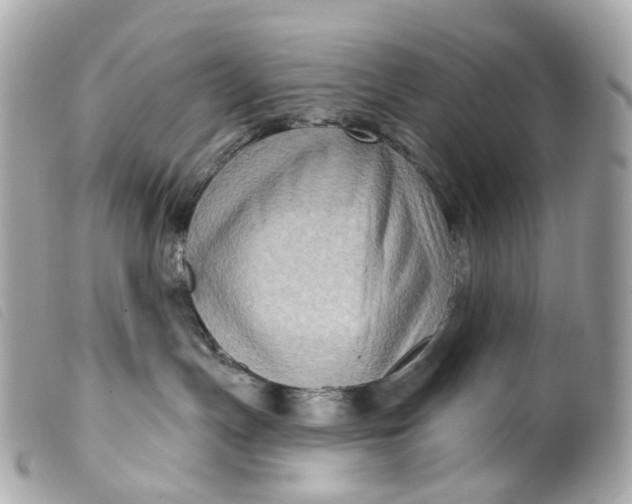 X0000099540191200805301508