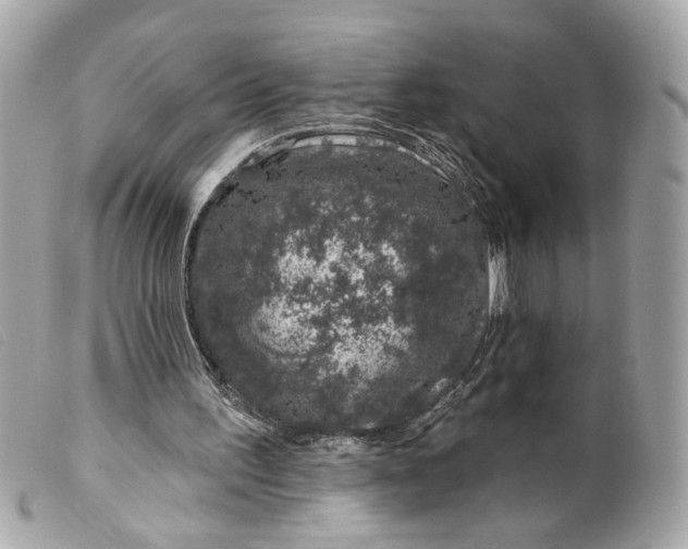 X0000099540195200805301507