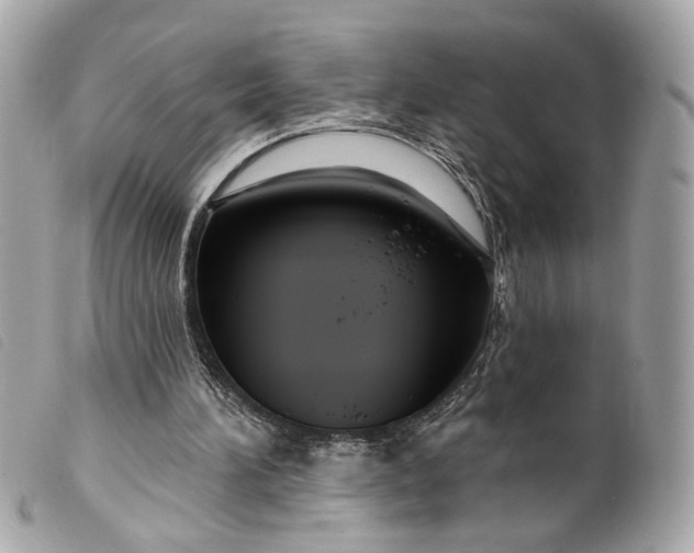 X0000099540196200805301507