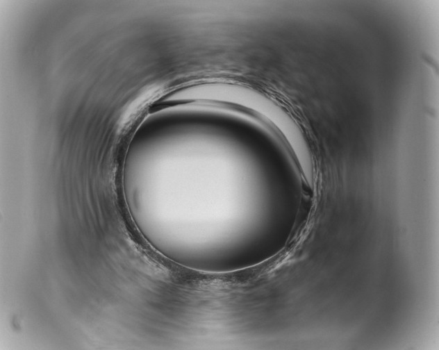 X0000099540197200805301507