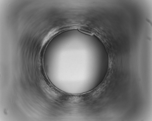 X0000099540198200805301507