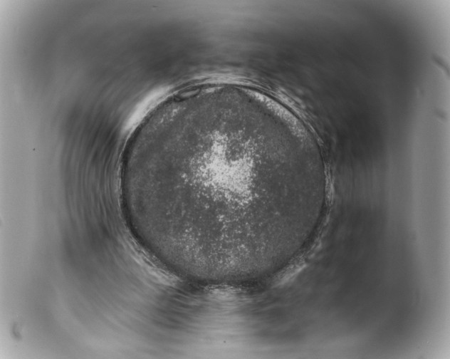 X0000099540199200805301507