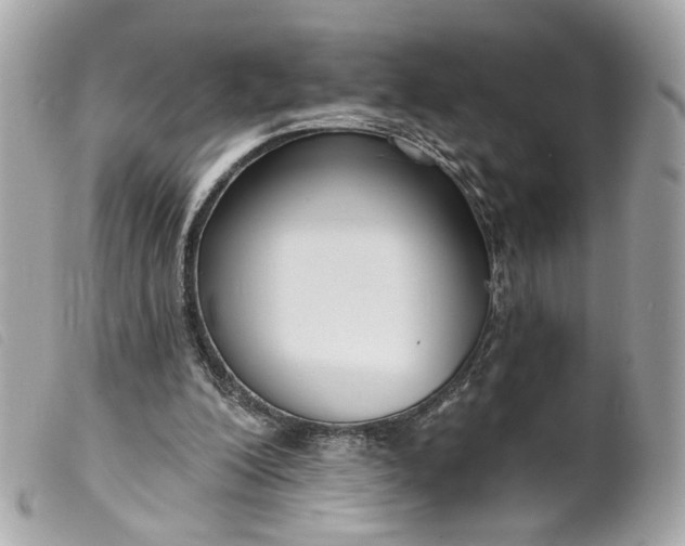 X0000099540200200805301507