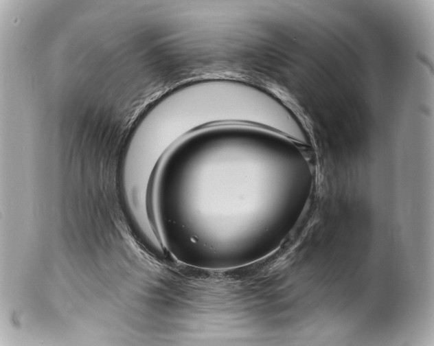 X0000099540201200805301507