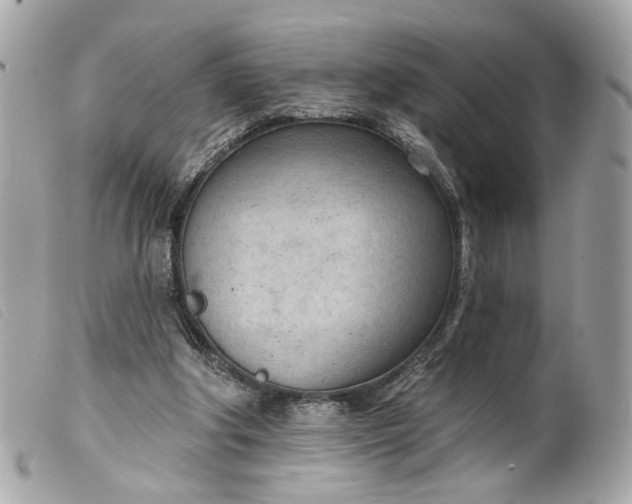 X0000099540202200805301507