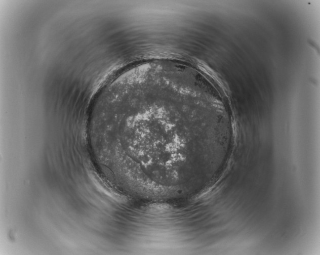 X0000099540203200805301507