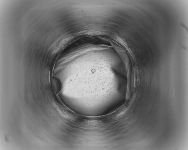 X0000099540205200805301507