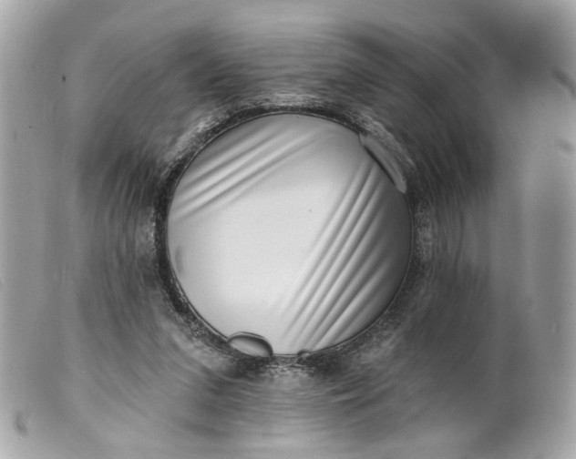 X0000099540207200805301507