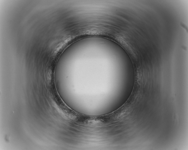 X0000099540208200805301507