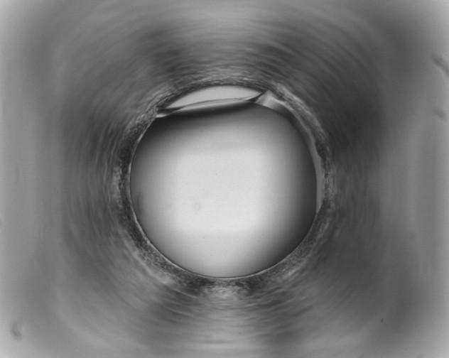 X0000099540209200805301507