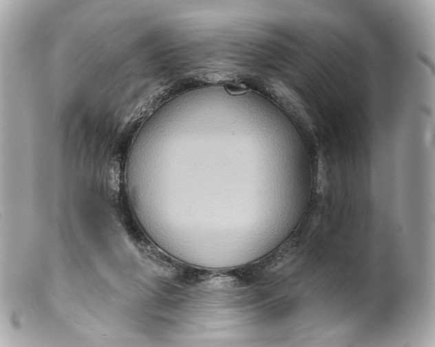 X0000099540210200805301507