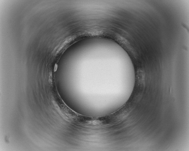 X0000099540212200805301507