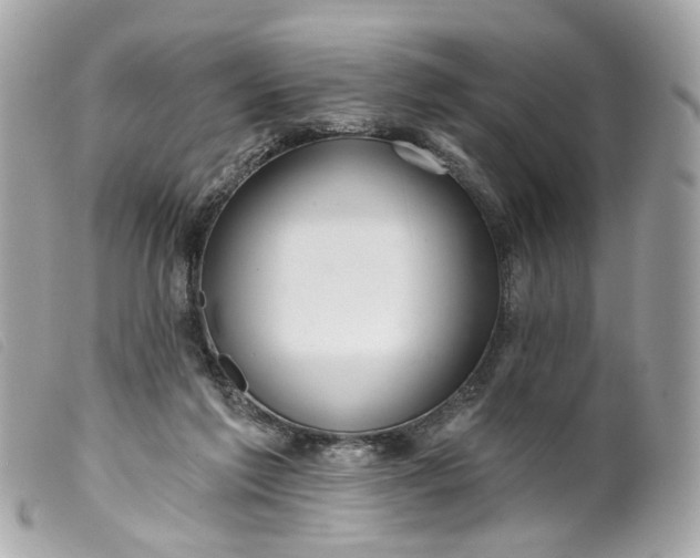 X0000099540213200805301507