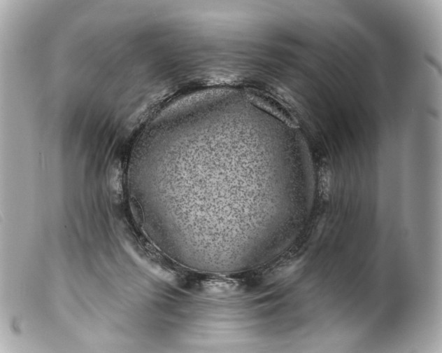 X0000099540215200805301507