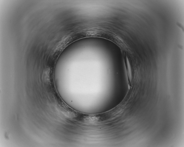 X0000099540217200805301507