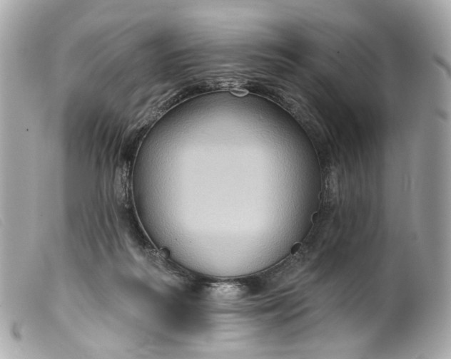 X0000099540218200805301507