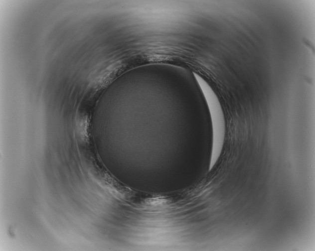 X0000099540219200805301507