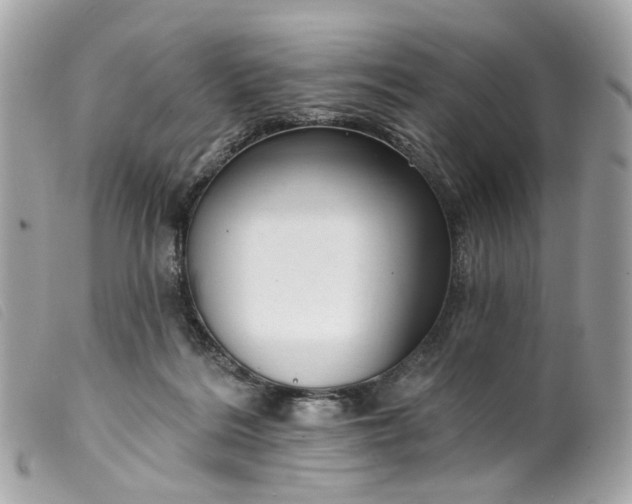 X0000099540220200805301507