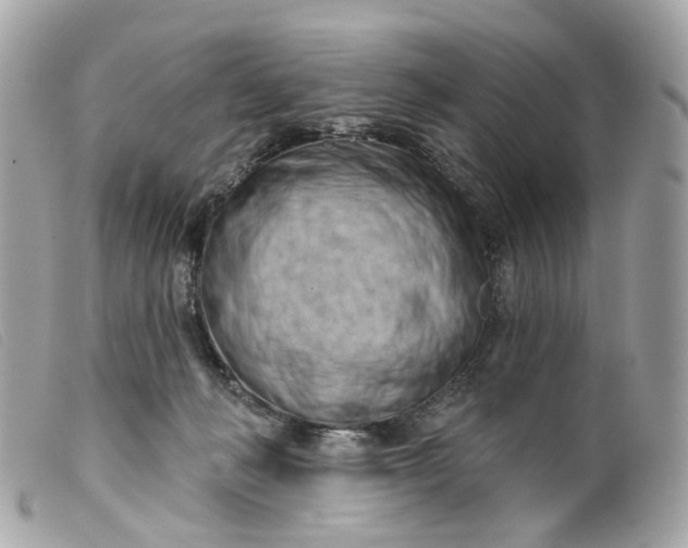 X0000099540222200805301507