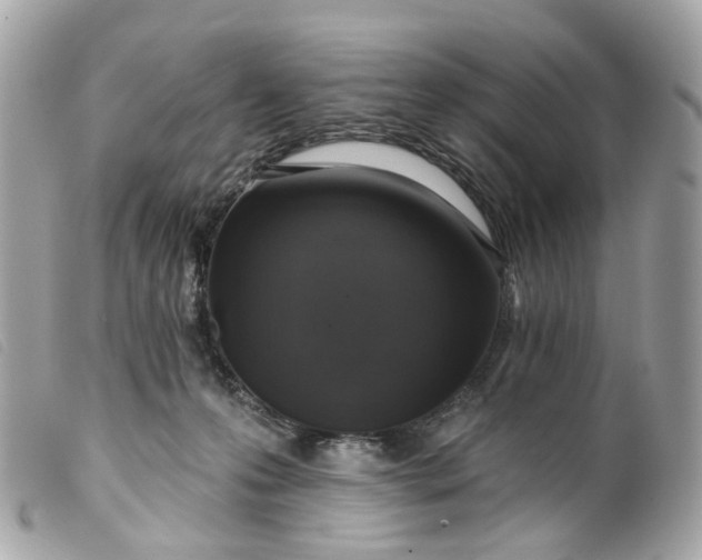 X0000099540223200805301507