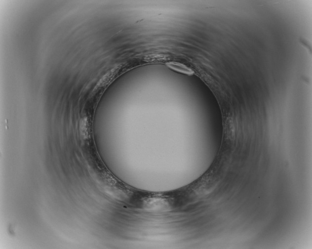 X0000099540224200805301507