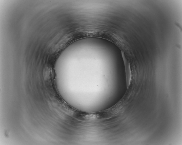 X0000099540225200805301507