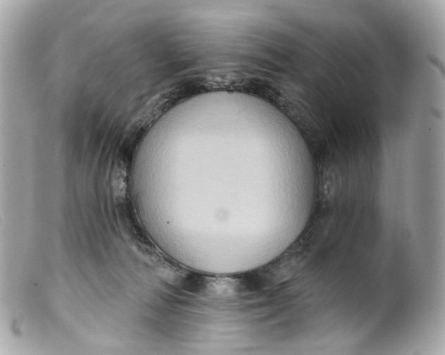 X0000099540226200805301507