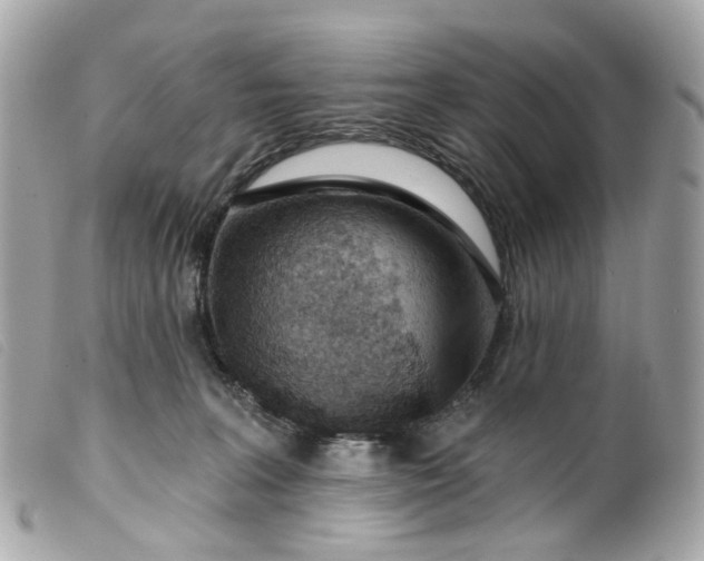 X0000099540227200805301507