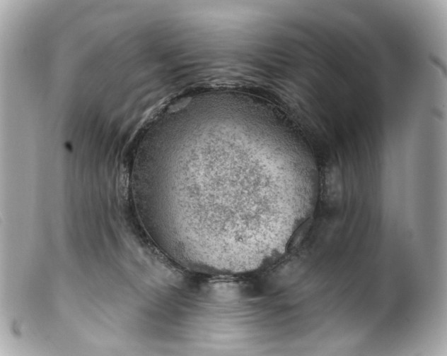 X0000099540228200805301507