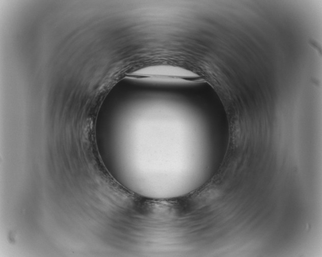 X0000099540229200805301507