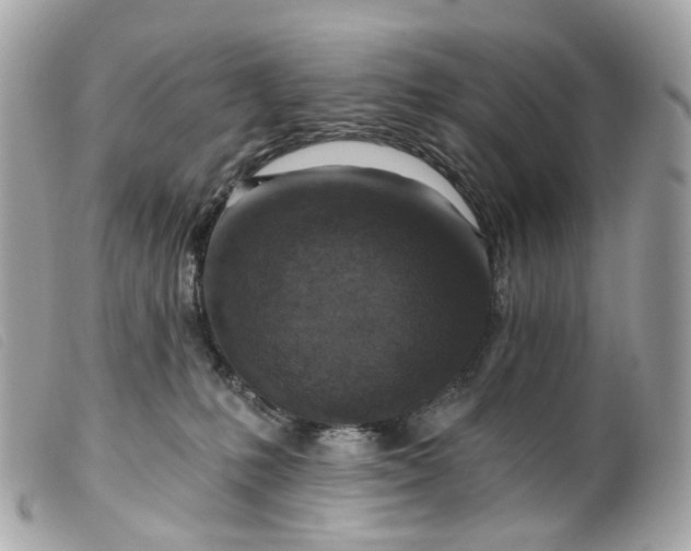 X0000099540231200805301507