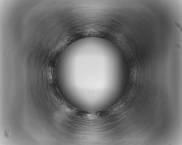 X0000099540232200805301507