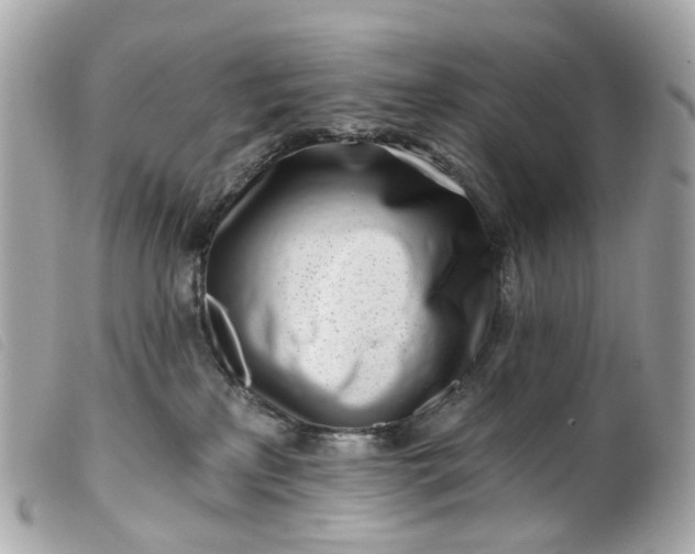 X0000099540233200805301507