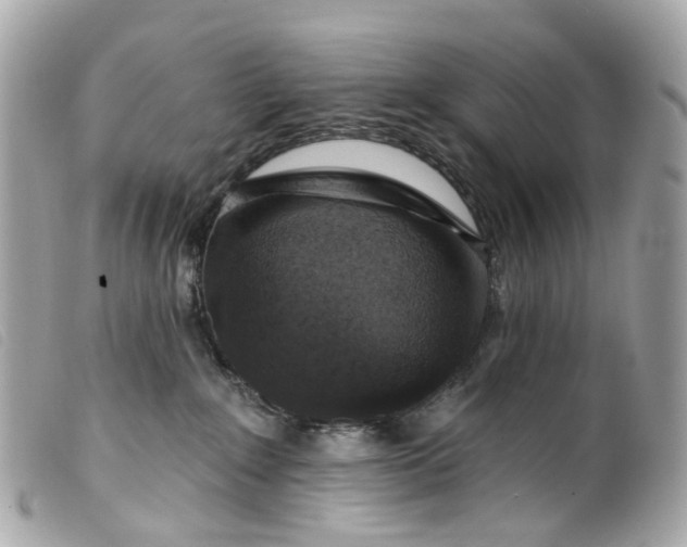 X0000099540235200805301507