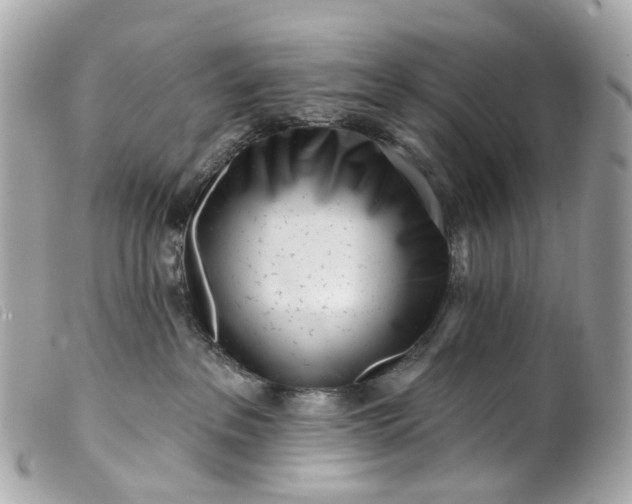 X0000099540237200805301507