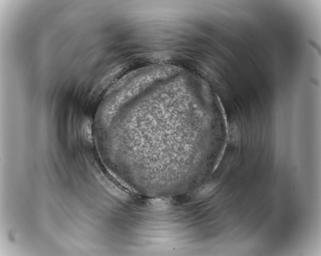 X0000099540238200805301507