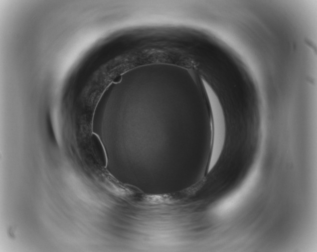 X0000099540239200805301507