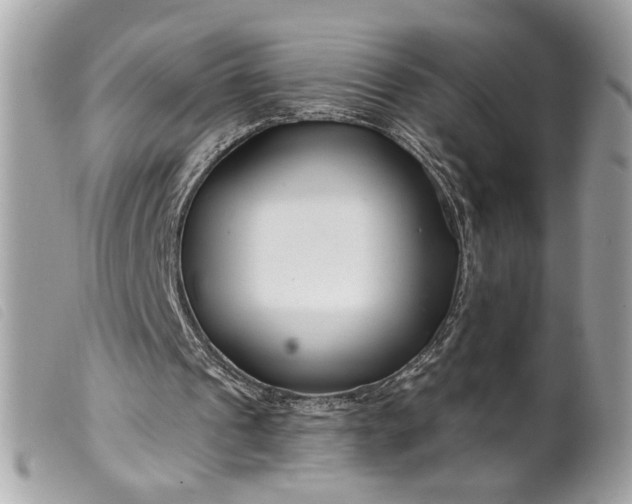 X0000099540241200805301506