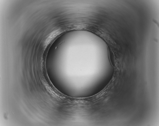 X0000099540242200805301506