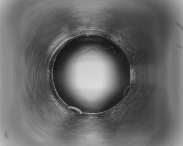 X0000099540243200805301506