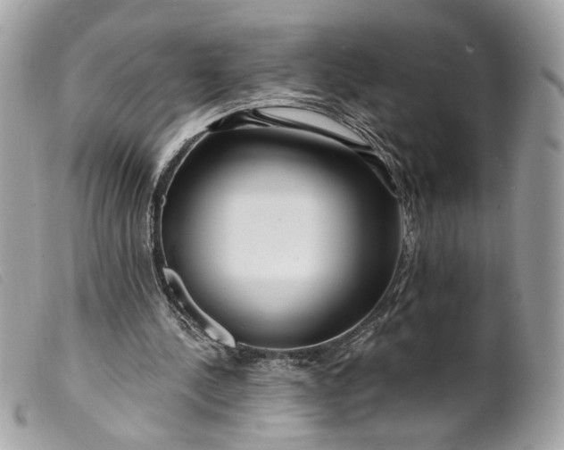 X0000099540244200805301506