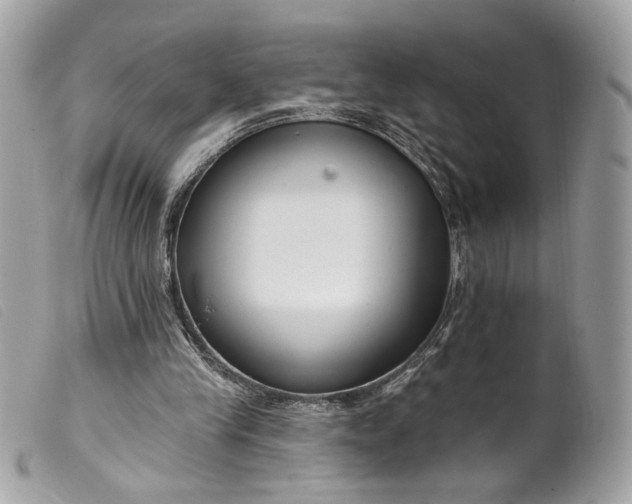 X0000099540245200805301506