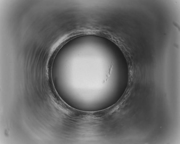 X0000099540246200805301506