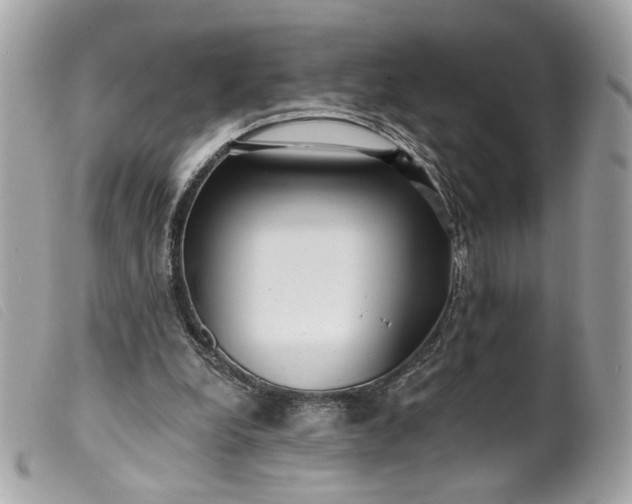 X0000099540248200805301506